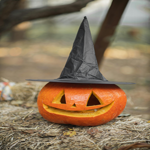 Read more about the article Fright Fest at Six Flags 2022
